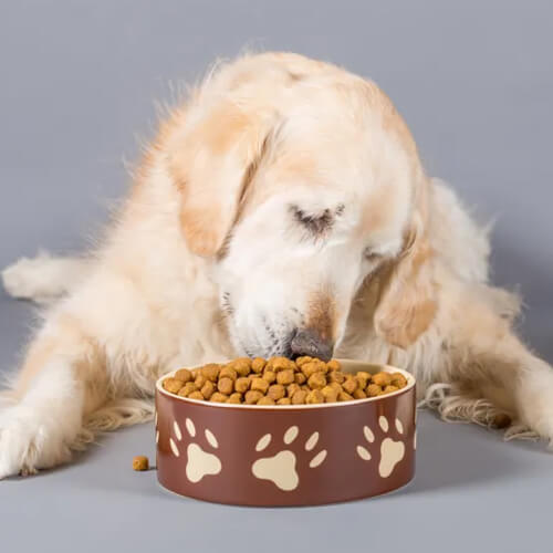 Pet-Food